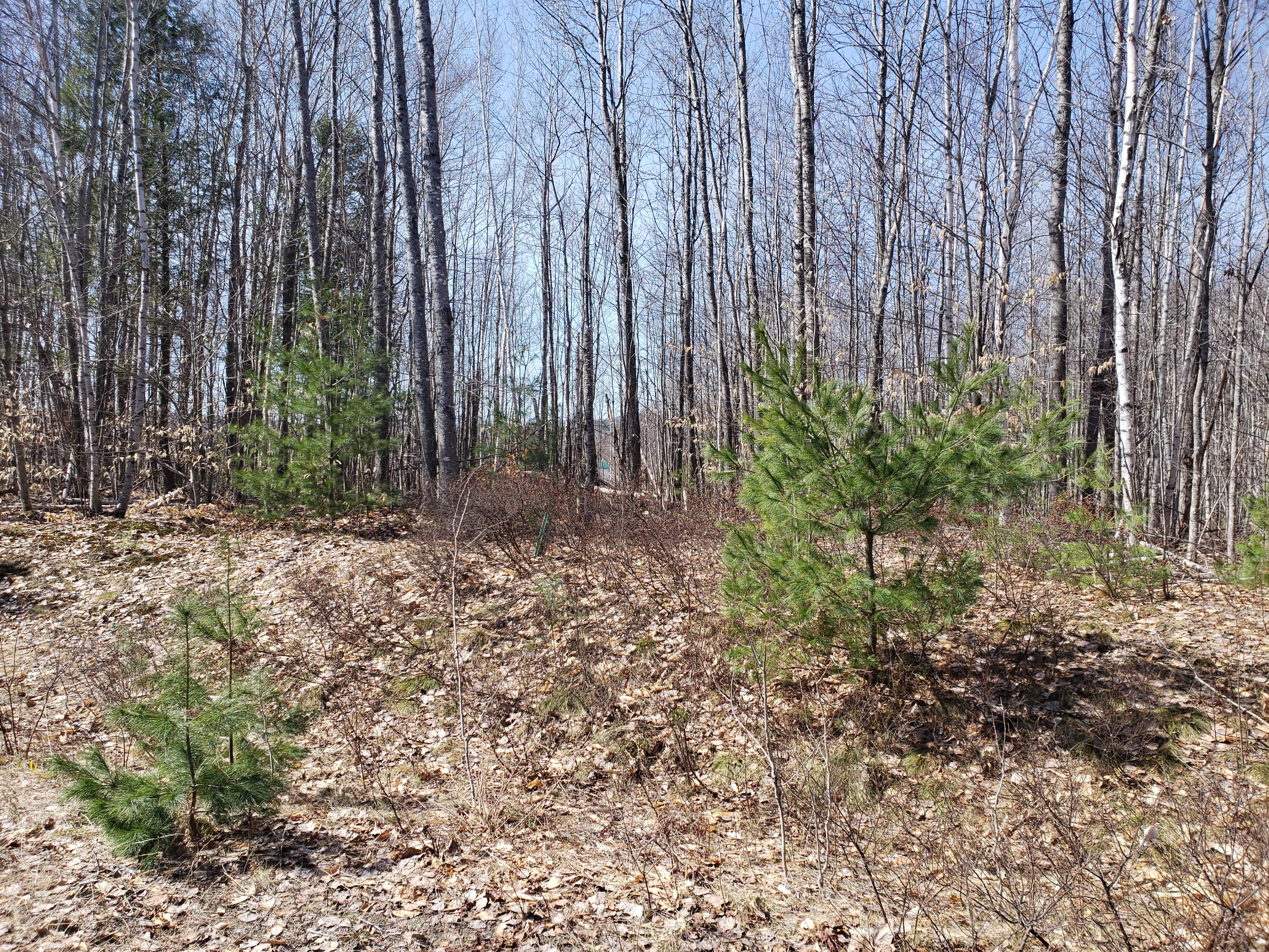 Tbd Deerfield Lot #6 Lane Farmington ME 04938