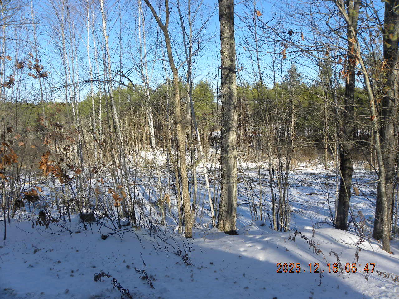 Lot B Bernier Road Sanford ME 04073