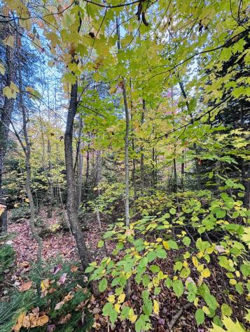 R005-043D Bray Hill Road Phillips ME 04966