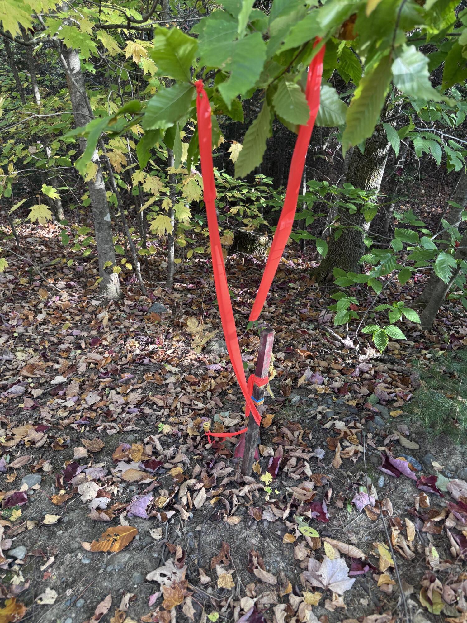 R005-043D Bray Hill Road Phillips ME 04966