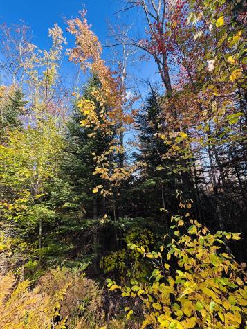 R005-043D Bray Hill Road Phillips ME 04966