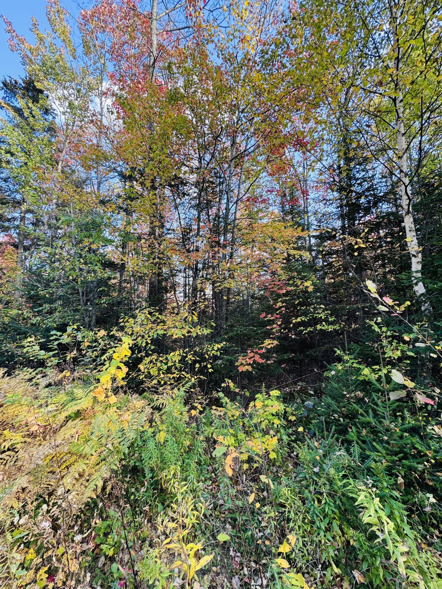 R005-043D Bray Hill Road Phillips ME 04966