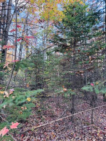 R005-043D Bray Hill Road Phillips ME 04966