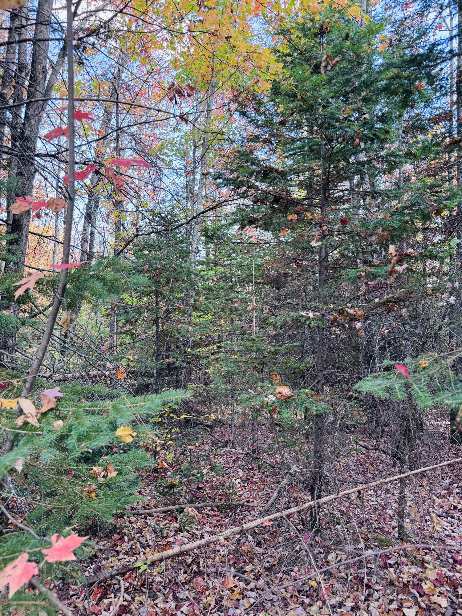 R005-043D Bray Hill Road Phillips ME 04966