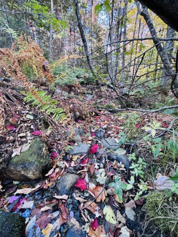 R005-043D Bray Hill Road Phillips ME 04966