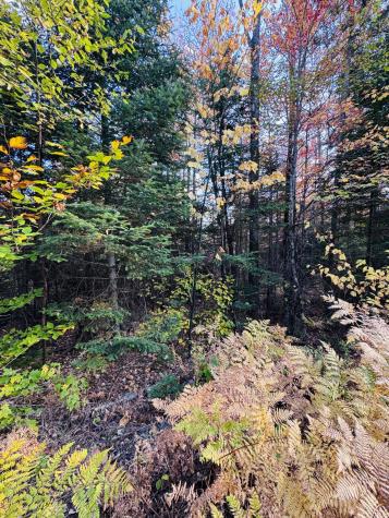 R005-043D Bray Hill Road Phillips ME 04966