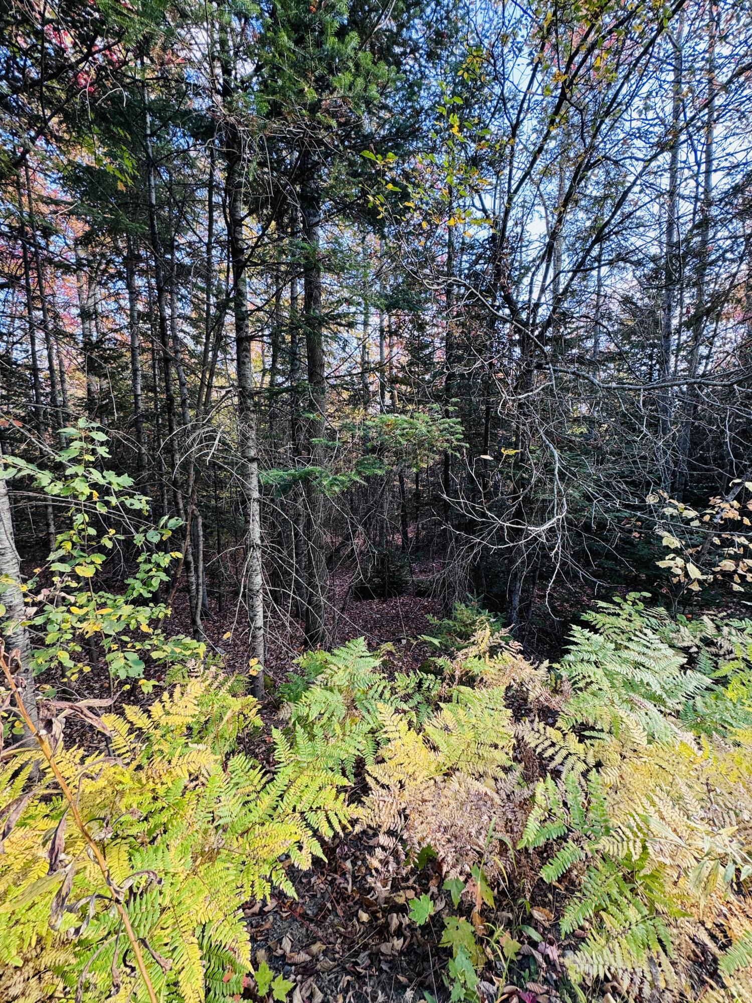 R005-043D Bray Hill Road Phillips ME 04966