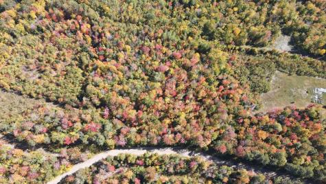 R005-043D Bray Hill Road Phillips ME 04966