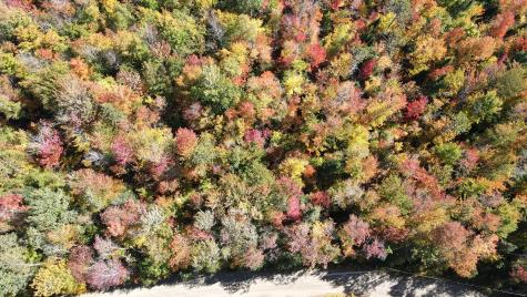 R005-043D Bray Hill Road Phillips ME 04966