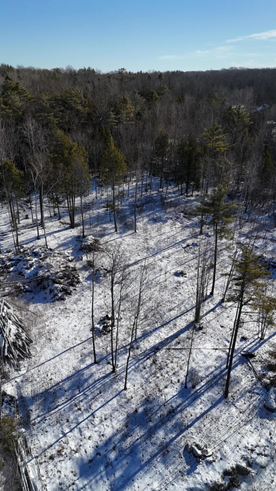 MAP17LOT53 Grant Road Orono ME 04473