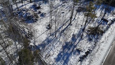 MAP17LOT53 Grant Road Orono ME 04473