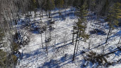 MAP17LOT53 Grant Road Orono ME 04473