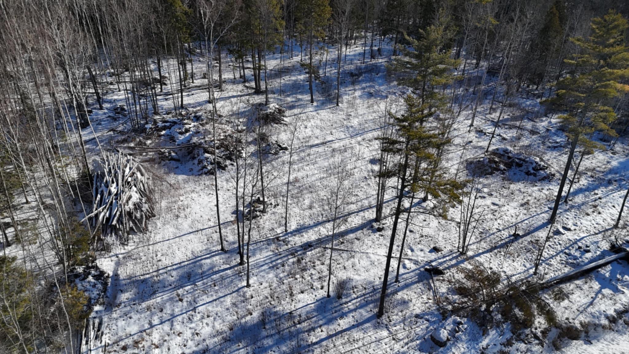 MAP17LOT53 Grant Road Orono ME 04473