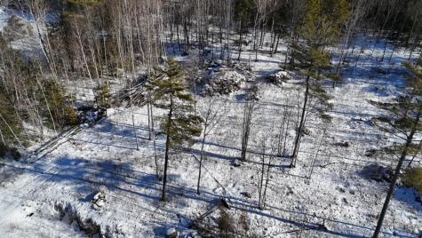 MAP17LOT53 Grant Road Orono ME 04473