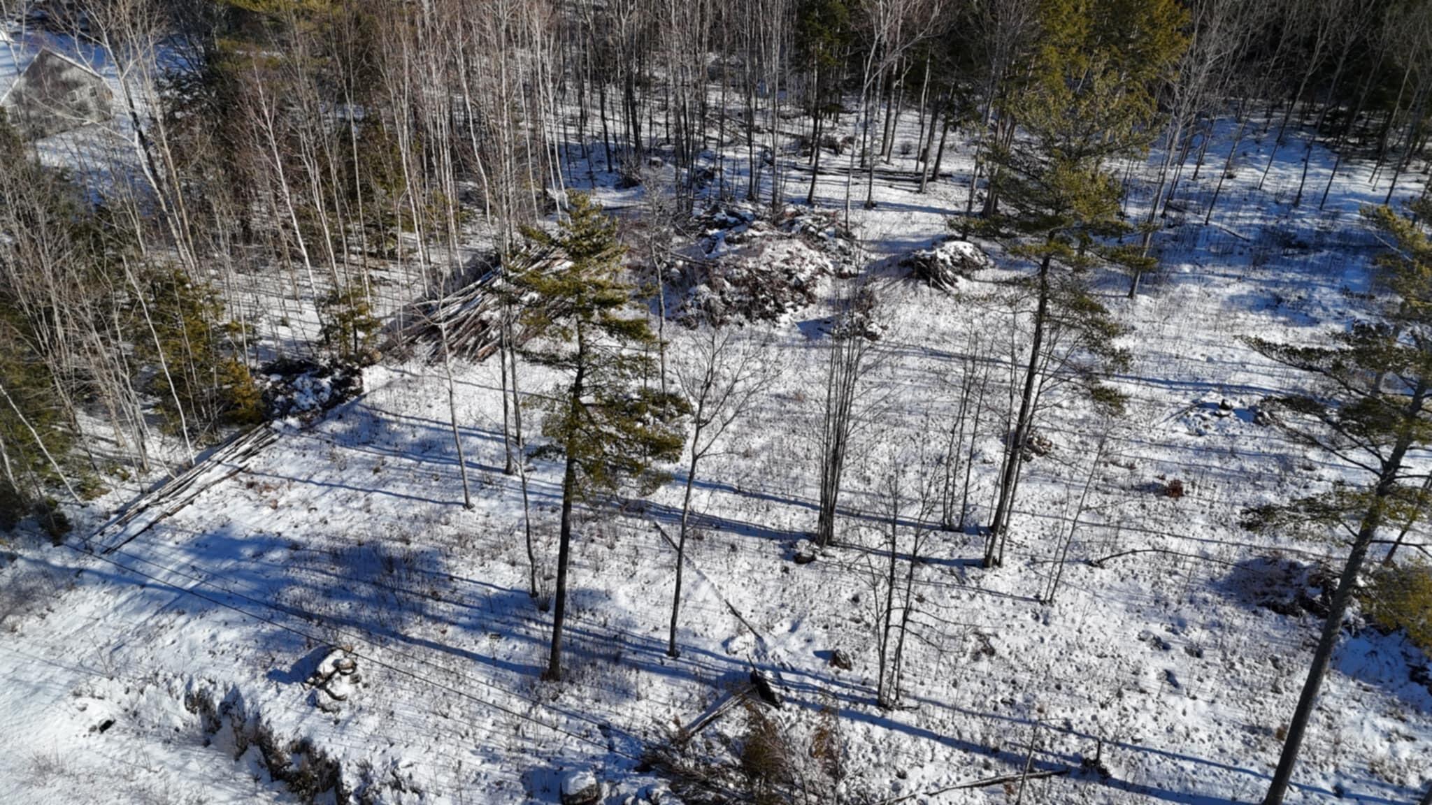 MAP17LOT53 Grant Road Orono ME 04473