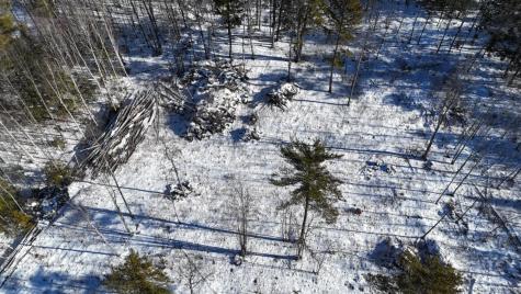 MAP17LOT53 Grant Road Orono ME 04473