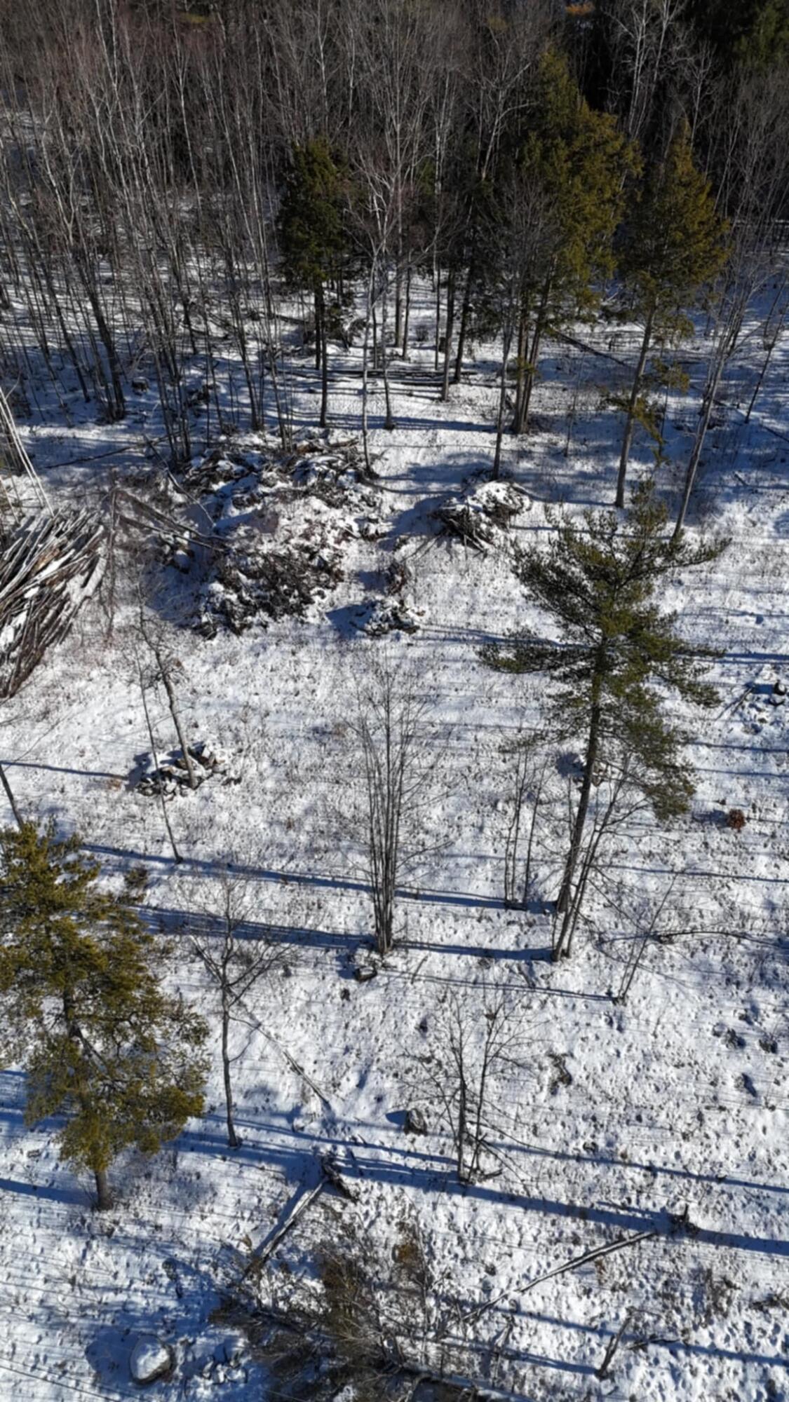 MAP17LOT53 Grant Road Orono ME 04473