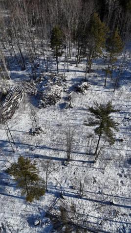 MAP17LOT53 Grant Road Orono ME 04473