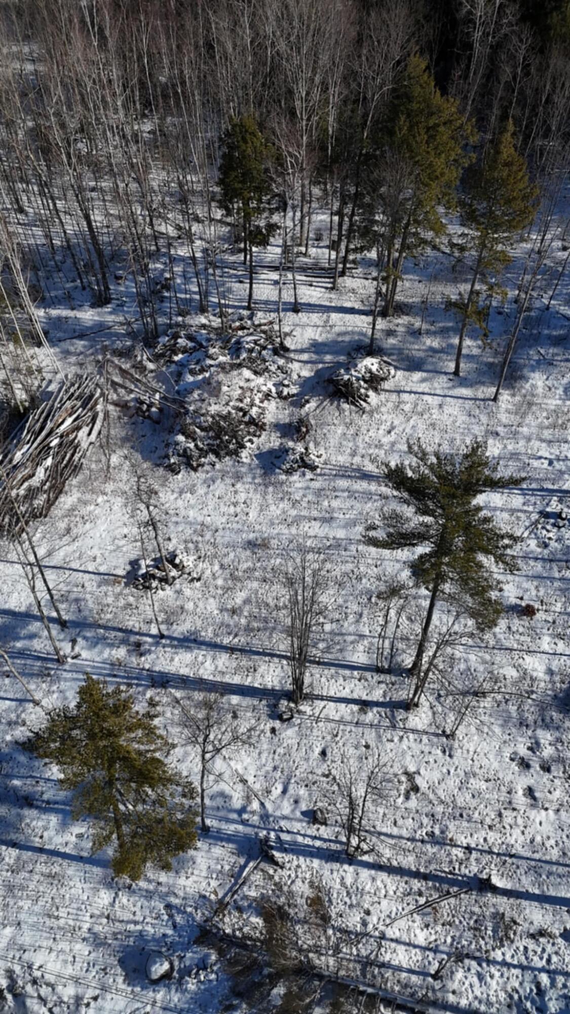 MAP17LOT53 Grant Road Orono ME 04473