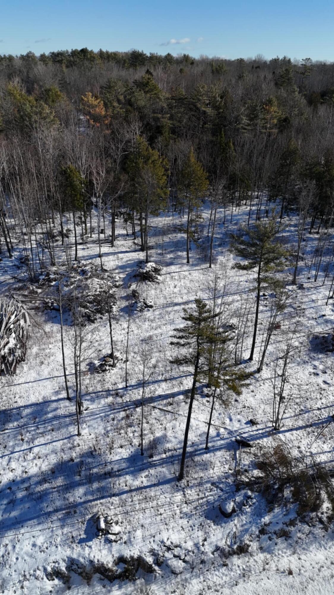 MAP17LOT53 Grant Road Orono ME 04473