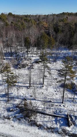 MAP17LOT53 Grant Road Orono ME 04473