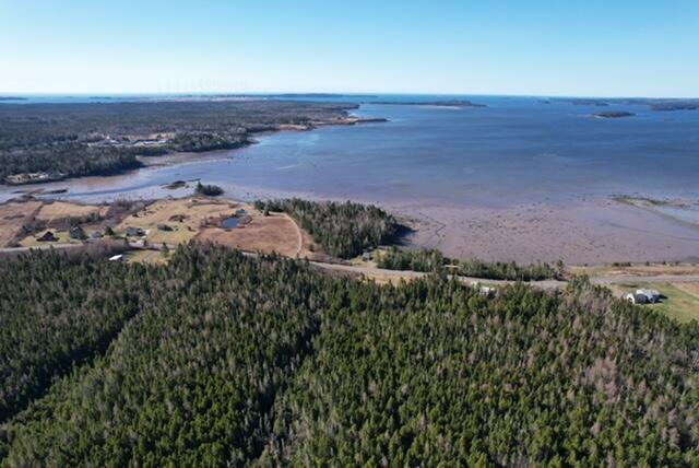 Lot 29d Cutler Road Whiting ME 04691