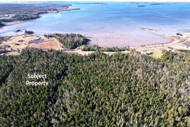 Lot 29d Cutler Road Whiting ME 04691