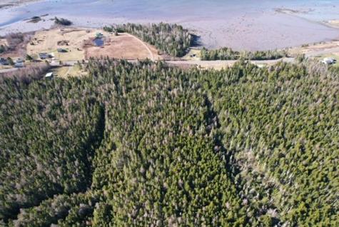 Lot 29d Cutler Road Whiting ME 04691
