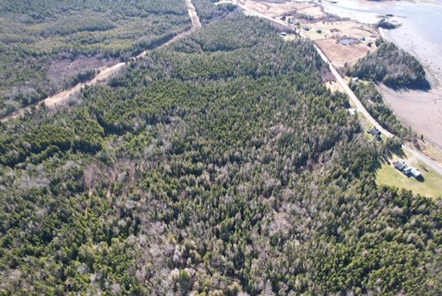 Lot 29d Cutler Road Whiting ME 04691