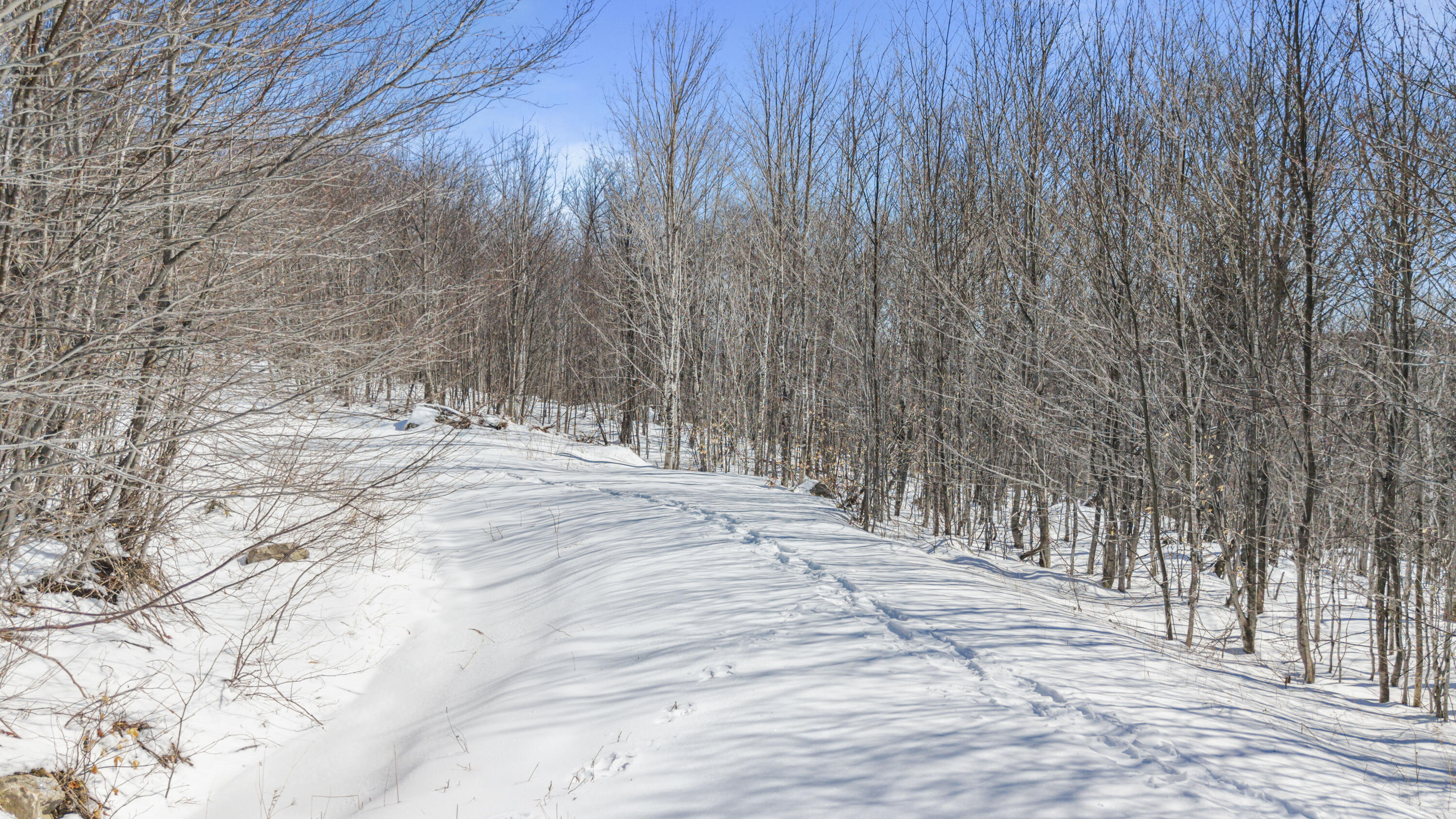 Lot 01-63 Ira Mountain Road Kingfield ME 04947