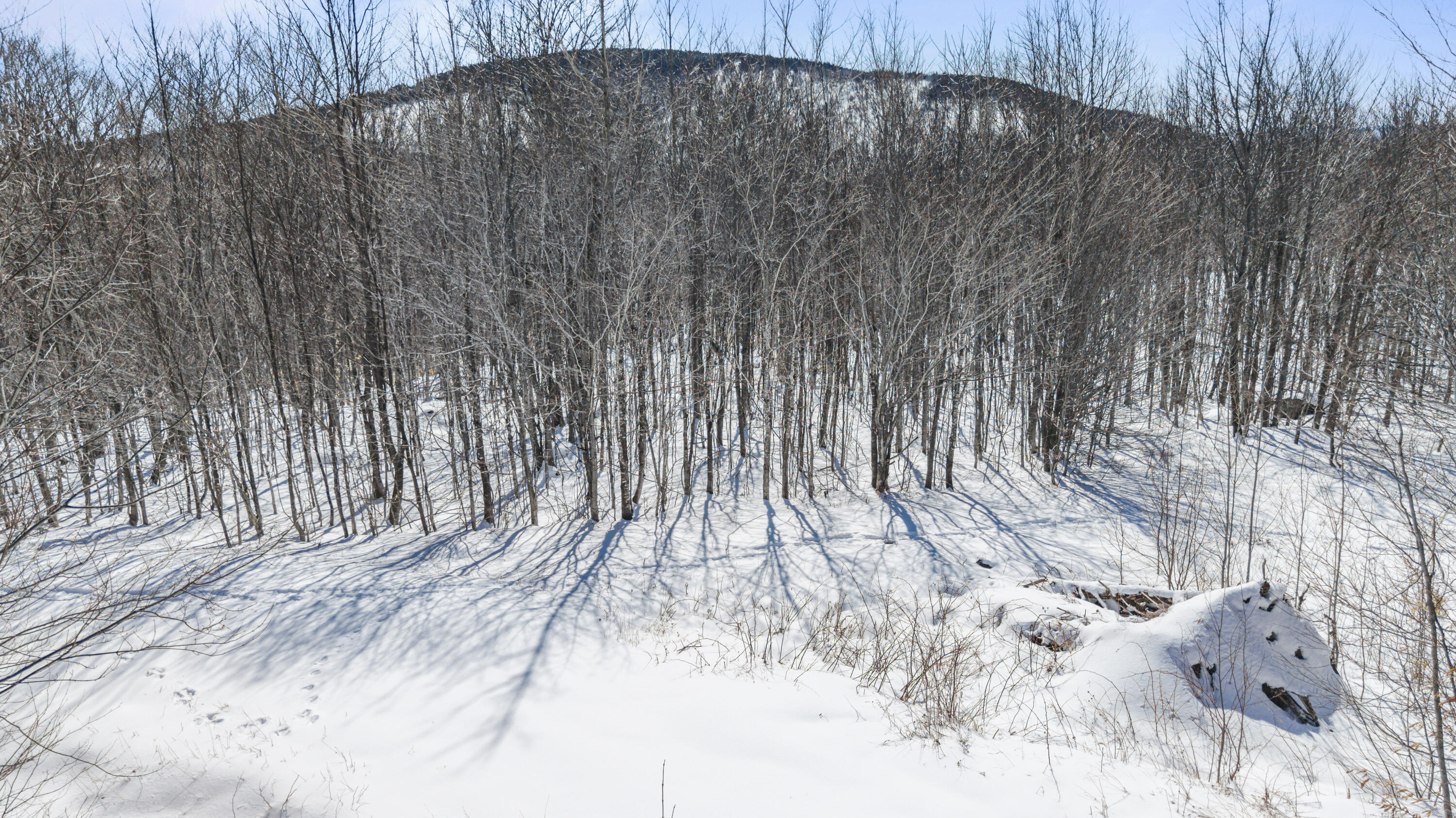 Lot 01-63 Ira Mountain Road Kingfield ME 04947