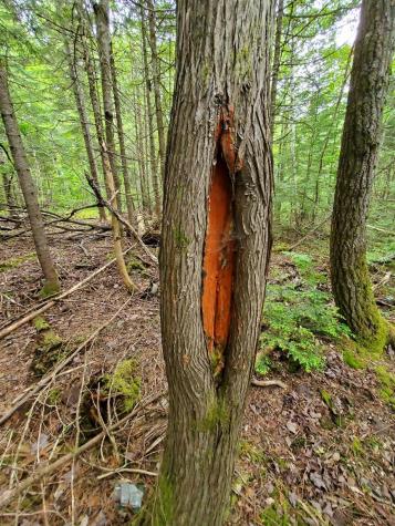 0 Mill M1 L21-1 Street Princeton ME 04668