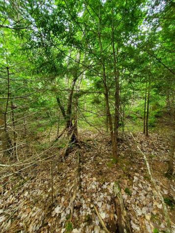 0 Mill M1 L21-1 Street Princeton ME 04668