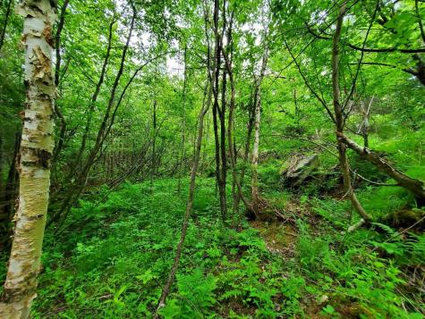 0 Mill M1 L21-1 Street Princeton ME 04668