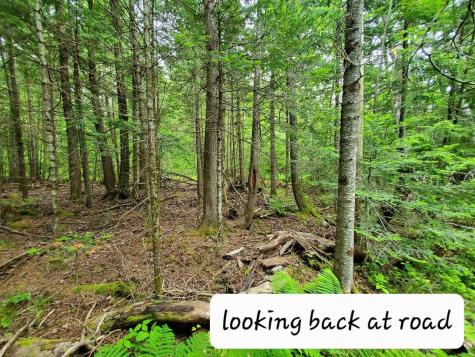 0 Mill M1 L21-1 Street Princeton ME 04668