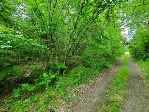 0 Mill M1 L21-1 Street Princeton ME 04668