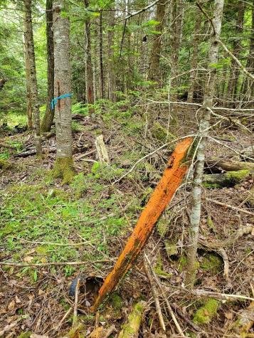 0 Mill M1 L21-1 Street Princeton ME 04668