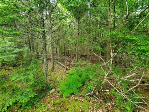 0 Mill M1 L21-1 Street Princeton ME 04668