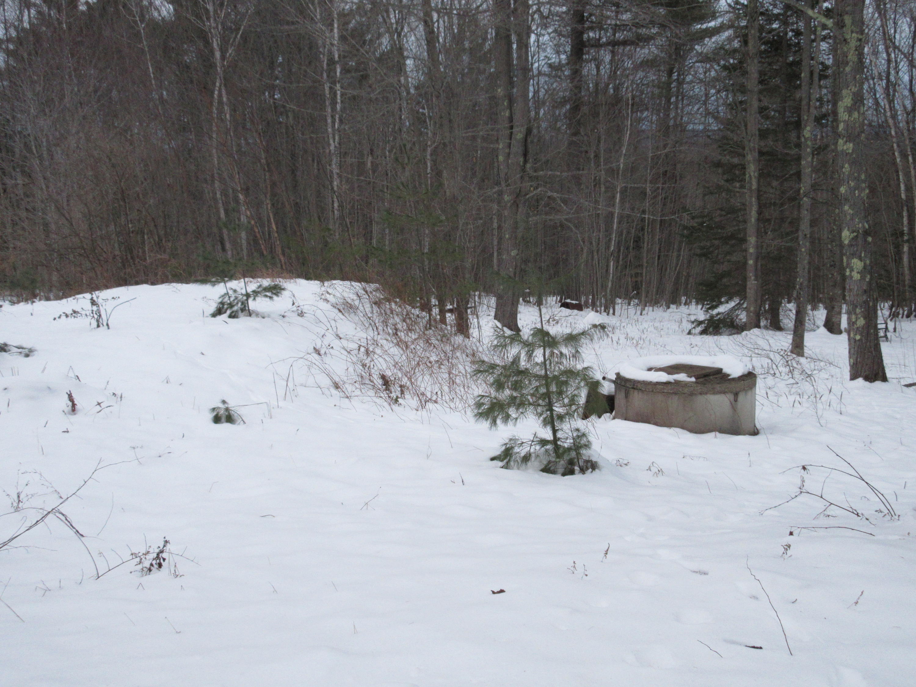 303 Country Club Road Norway ME 04268