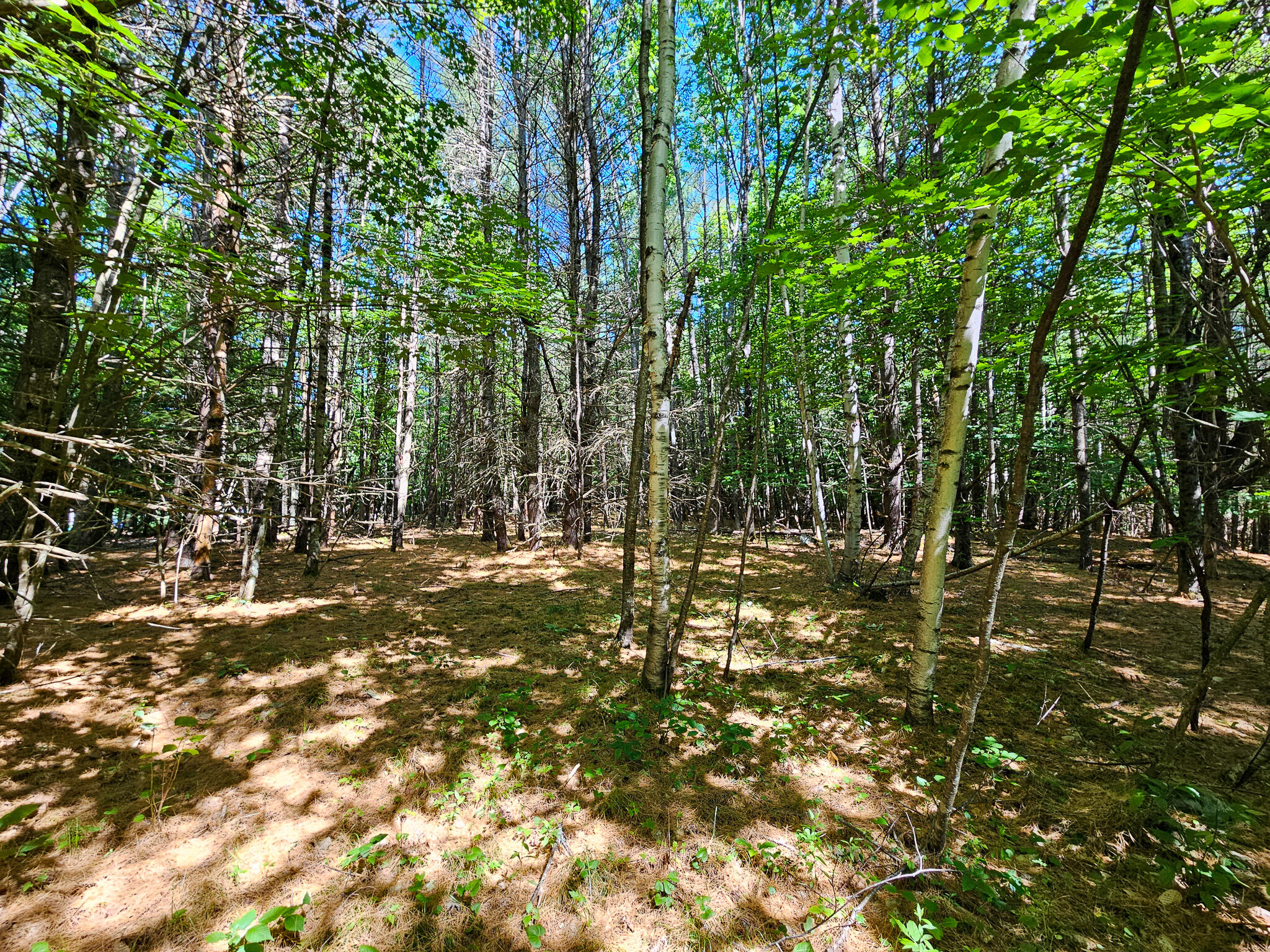 11-31-C Stone Hill Road Farmington ME 04938
