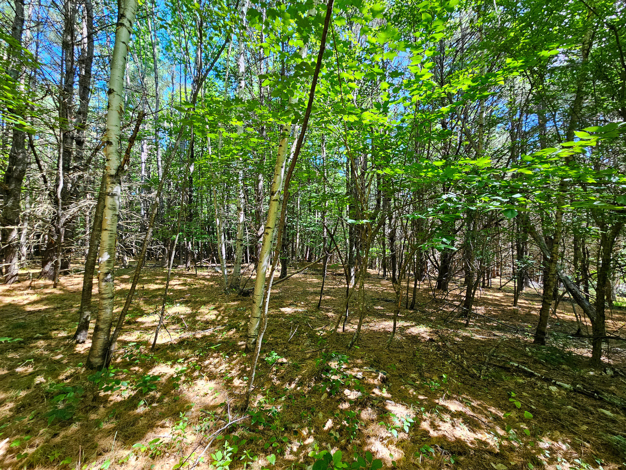 11-31-C Stone Hill Road Farmington ME 04938