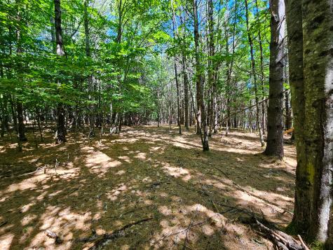 11-31-c Stone Hill Road Farmington ME 04938