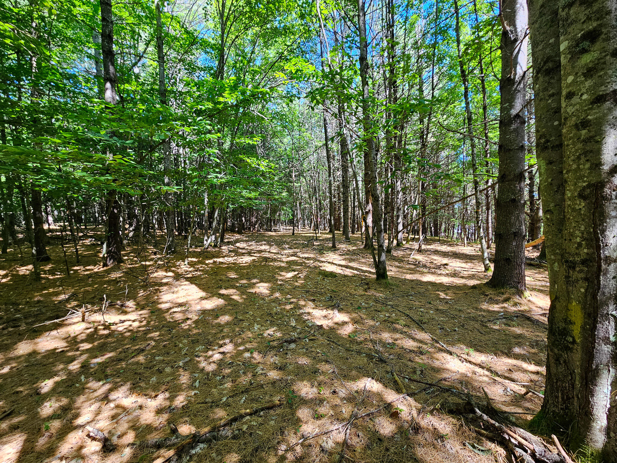 11-31-C Stone Hill Road Farmington ME 04938