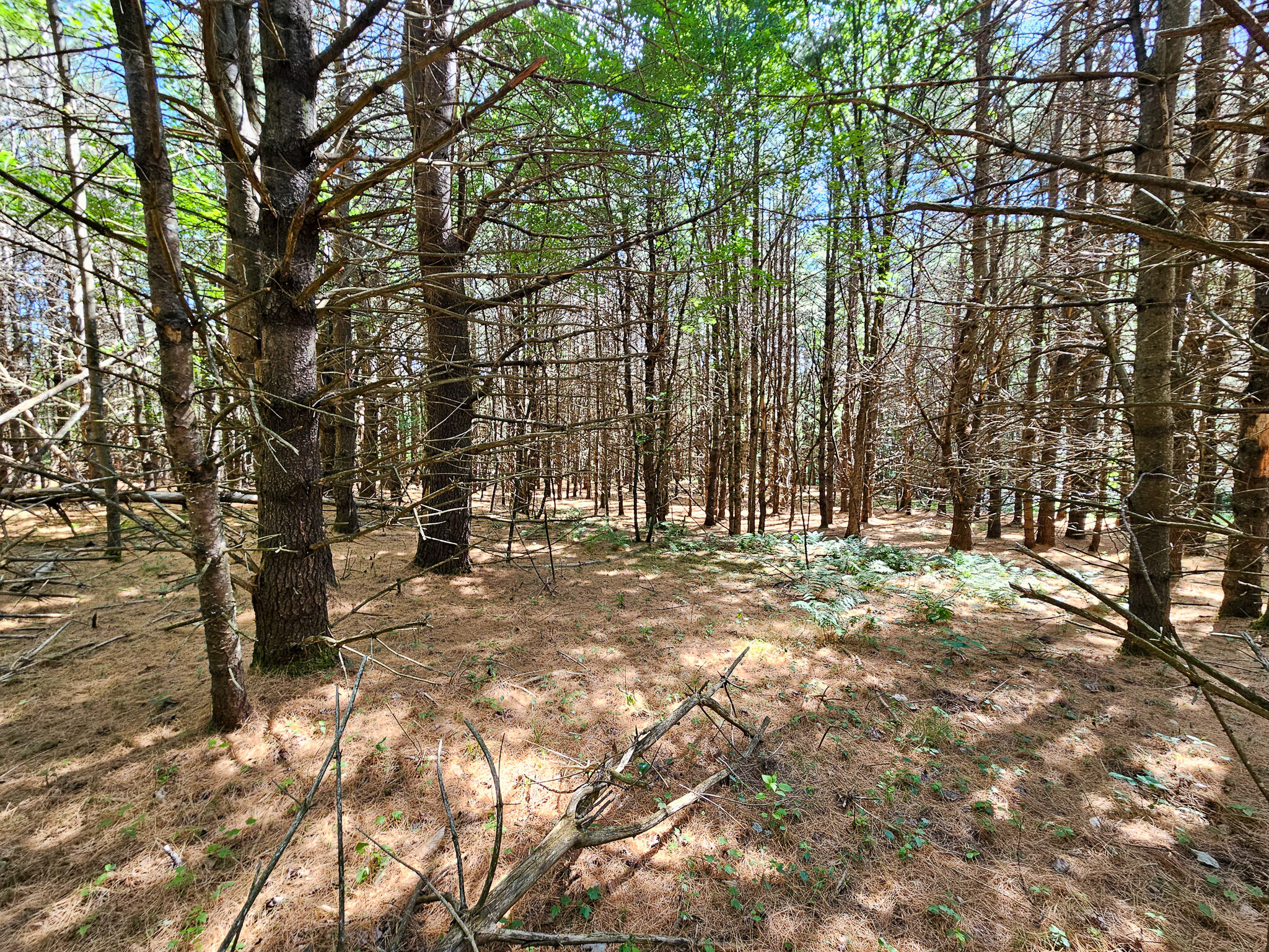 11-31-C Stone Hill Road Farmington ME 04938