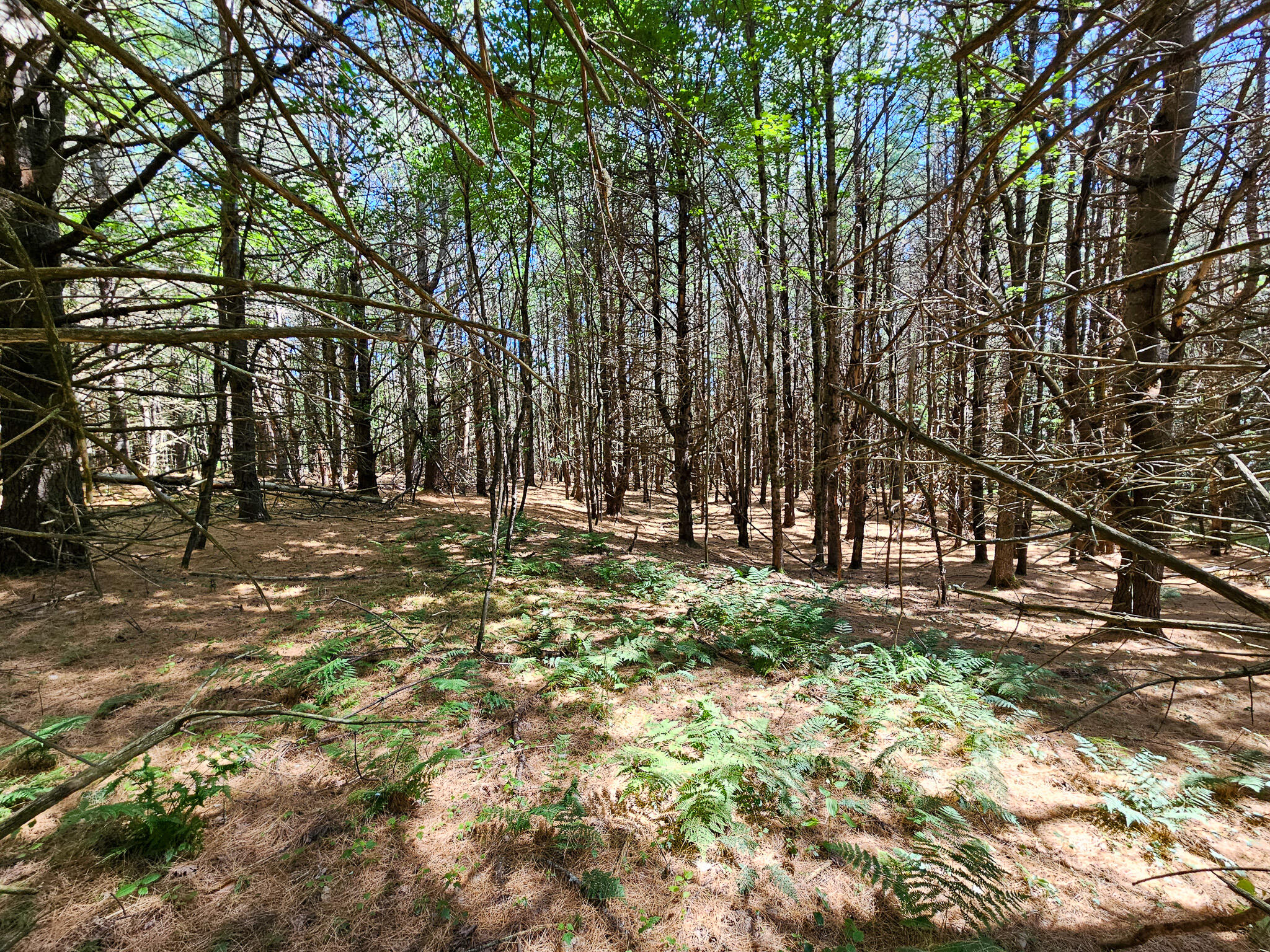 11-31-C Stone Hill Road Farmington ME 04938