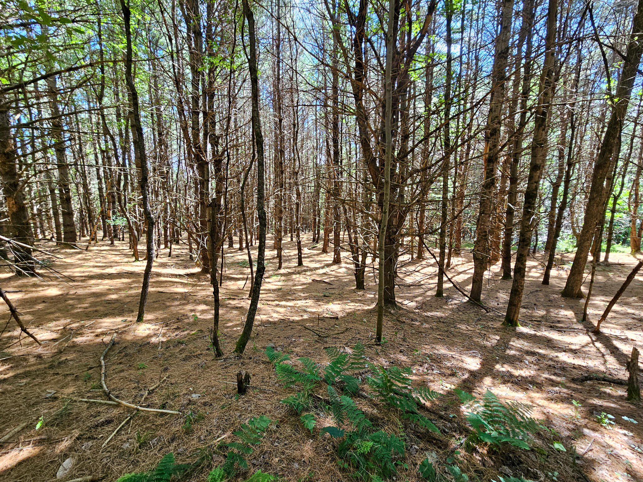 11-31-C Stone Hill Road Farmington ME 04938