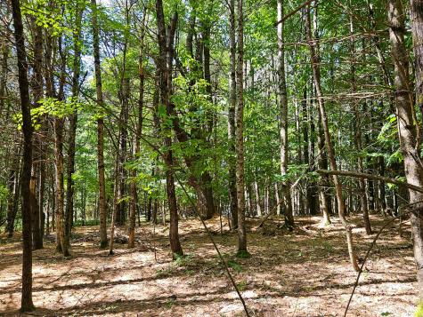 11-31-c Stone Hill Road Farmington ME 04938