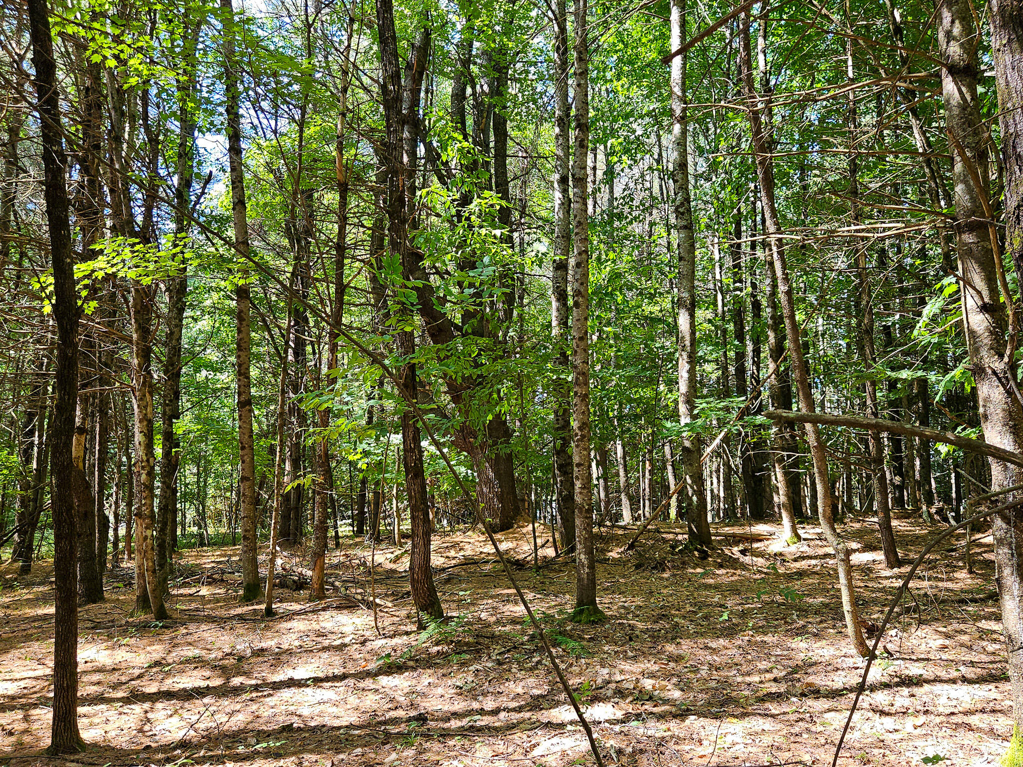11-31-C Stone Hill Road Farmington ME 04938