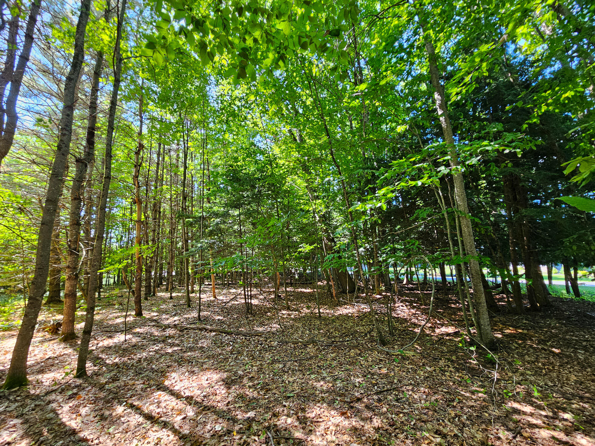 11-31-C Stone Hill Road Farmington ME 04938