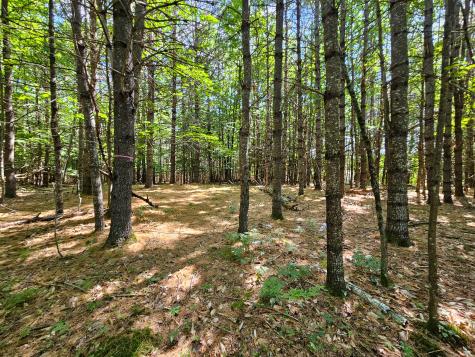 11-31-c Stone Hill Road Farmington ME 04938